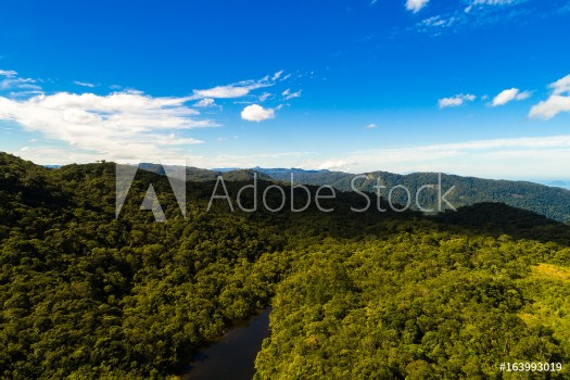 Bild på Aerial View of Mountains in Rainforest